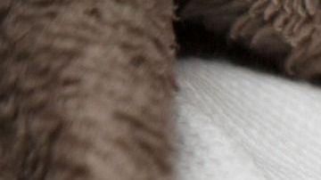 El último varón que nació fue hace 10 años.