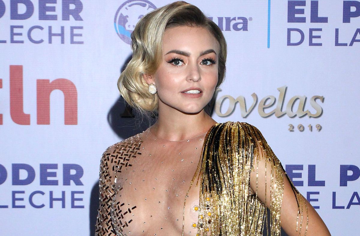 Cuando Angelique Boyer aparece en bikini, hasta Yanet García reacciona - El  Diario NY