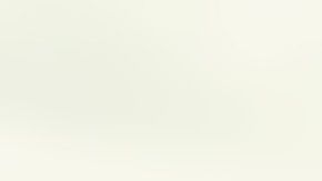 El auto quedó literalmente partido en dos por el violento impacto