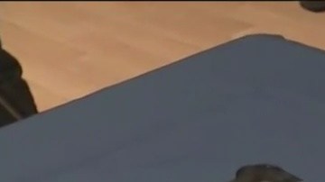 Parte de las armas incautadas