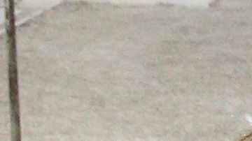 La exesquiadora fue vista por última vez el pasado día 23 en la localidad madrileña de Aravaca