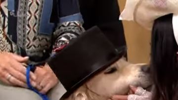 El enlace culminó con el tradicional beso de los "novios".