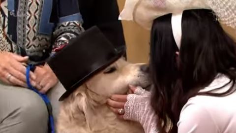 El enlace culminó con el tradicional beso de los "novios".