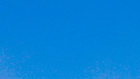 El bosque de Chapultepec le ganó a parques de Nueva Zelanda y Malasia.