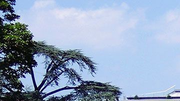 En este lugar hay trabajos muy peculiares que la gente tiene que hacer.