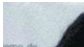 Rosa Nelly Luna Cisneros, convicta por el asesinato de su esposo, el Notario Público número 34, Raúl Alton Garza.