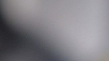 Pide $30,000 por el animal.