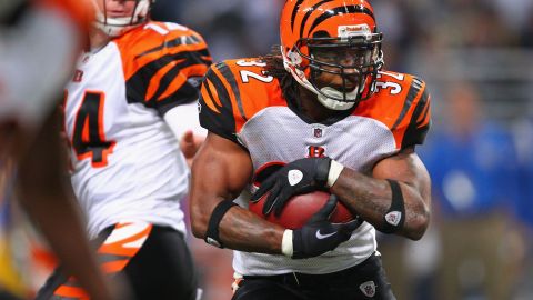 Los Bengals llegan a una final luego de tres décadas y ahora esperan por un rival.