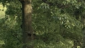 NYPD en la escena fatal