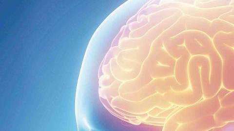 cerebro