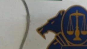 Ivan archivaldo guzmán Salazar "El Chapito".