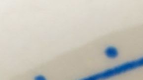 La cocina mexicana esta llena de colores, sabores y mucha tradición.