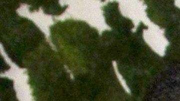 Chiquis Rivera y Lorenzo Méndez