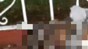 CJNG hace explotar a supuesto rival del Cártel de Los Viagras y así lo dejaron