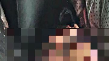 CJNG le desbarata la cabeza a "El Rifle", jefe de plaza del Cártel de Los Viagras