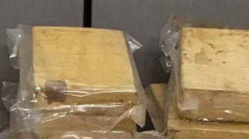 Parte de la droga decomisada