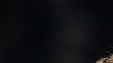 Los hinchas están furiosos e interpusieron una demanda luego que Cristiano se mantuvo en la banca durante un partido en Corea del Sur