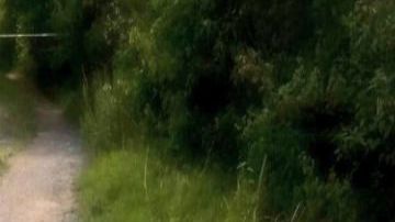 Dejan docena de descuartizados en zona en disputa entre el CJNG y Los Zetas