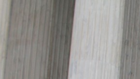 La organización Demos ha llevado su lucha a Washington.