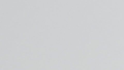 Diego Reyes está a punto de volver al fútbol mexicano con los Tigres de la UANL.