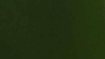 Diego Reyes decidió ir a jugar con los Tigres a Monterrey.