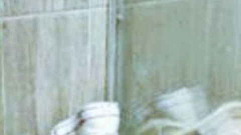 Violencia en México