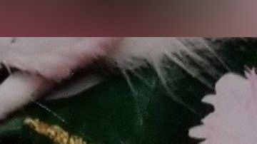 Las autoridades publicaron imágenes de las "niñas en riesgo".