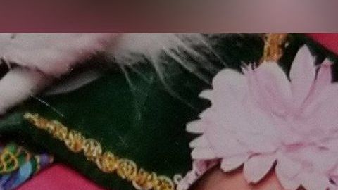 Las autoridades publicaron imágenes de las "niñas en riesgo".