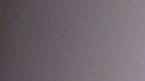 Estos empleos requieren que tengas capacidad de leer una gran cantidad de documentos.