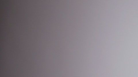 Estos empleos requieren que tengas capacidad de leer una gran cantidad de documentos.