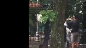 El sujeto bajó al perro y lo obligó a echarse pisando su cabeza.