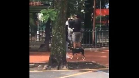 El sujeto bajó al perro y lo obligó a echarse pisando su cabeza.