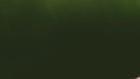 El astuto joven se aprovechó de la política de devoluciones de la empresa.