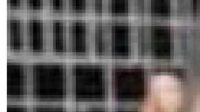 El santuario animal Almas Veganas es un colectivo que lucha por la liberación animal.