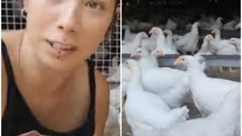 El santuario animal Almas Veganas es un colectivo que lucha por la liberación animal.