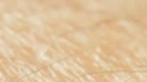 El insecto transmisor