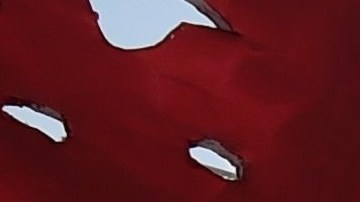 Los grupos supremacistas han aumentado en los últimos dos años.