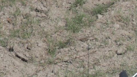 CBP Conducts Helicopter Patrols Of U.S. - Mexican Border