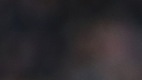 "Chicharito" le anotó al Brighton su primer gol de la temporada en la Liga Premier.