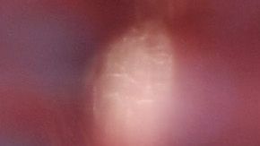 Javier Hernández no fue convocado al duelo contra el Watford por una lesión en la rodilla.