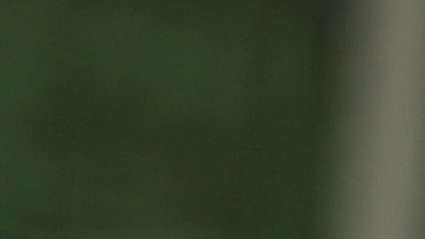 El presidente Trump afirma que no tiene "un hueso" de racista.