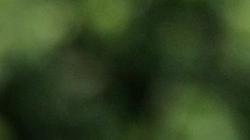 El carpitero Greg Zanis con una cruz para una de las víctimas del tiroteo en Virginia Beach.