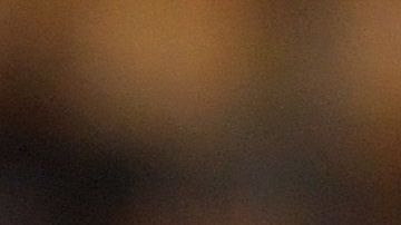 Joc Pederson, de LA Dodgers jugó en Venezuela las últimas temporadas.