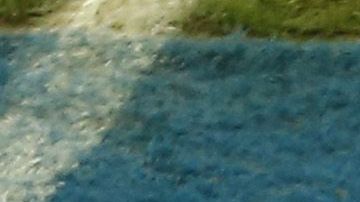 Gabriel Jesús estará inhabilitado dos meses y pagará una multa de $30 mil dólares.