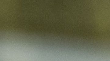 Todo el mundo está pidiendo que ayuden a combatir el fuego que consume al Amazonas.