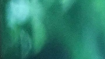 Trump es uno de los líderes que más noticias consumen diariamente.