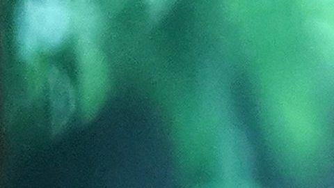 Trump es uno de los líderes que más noticias consumen diariamente.