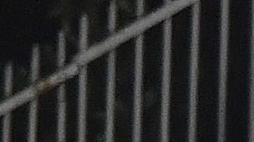 Gremio vino de atrás para llevarse el pase a la semifinal de la Libertadores.