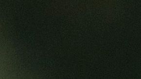 El serpentinero fue arrestado afuera de un centro comercial de Los Ángeles a principios de mayo bajo sospecha de agresión doméstica