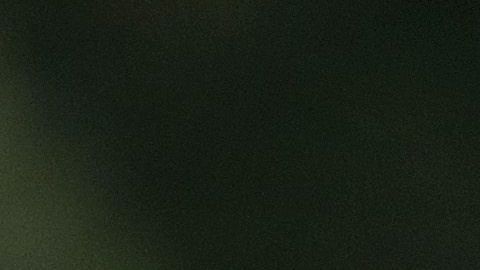 El serpentinero fue arrestado afuera de un centro comercial de Los Ángeles a principios de mayo bajo sospecha de agresión doméstica